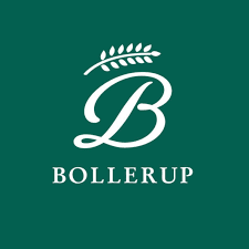 Bollerup